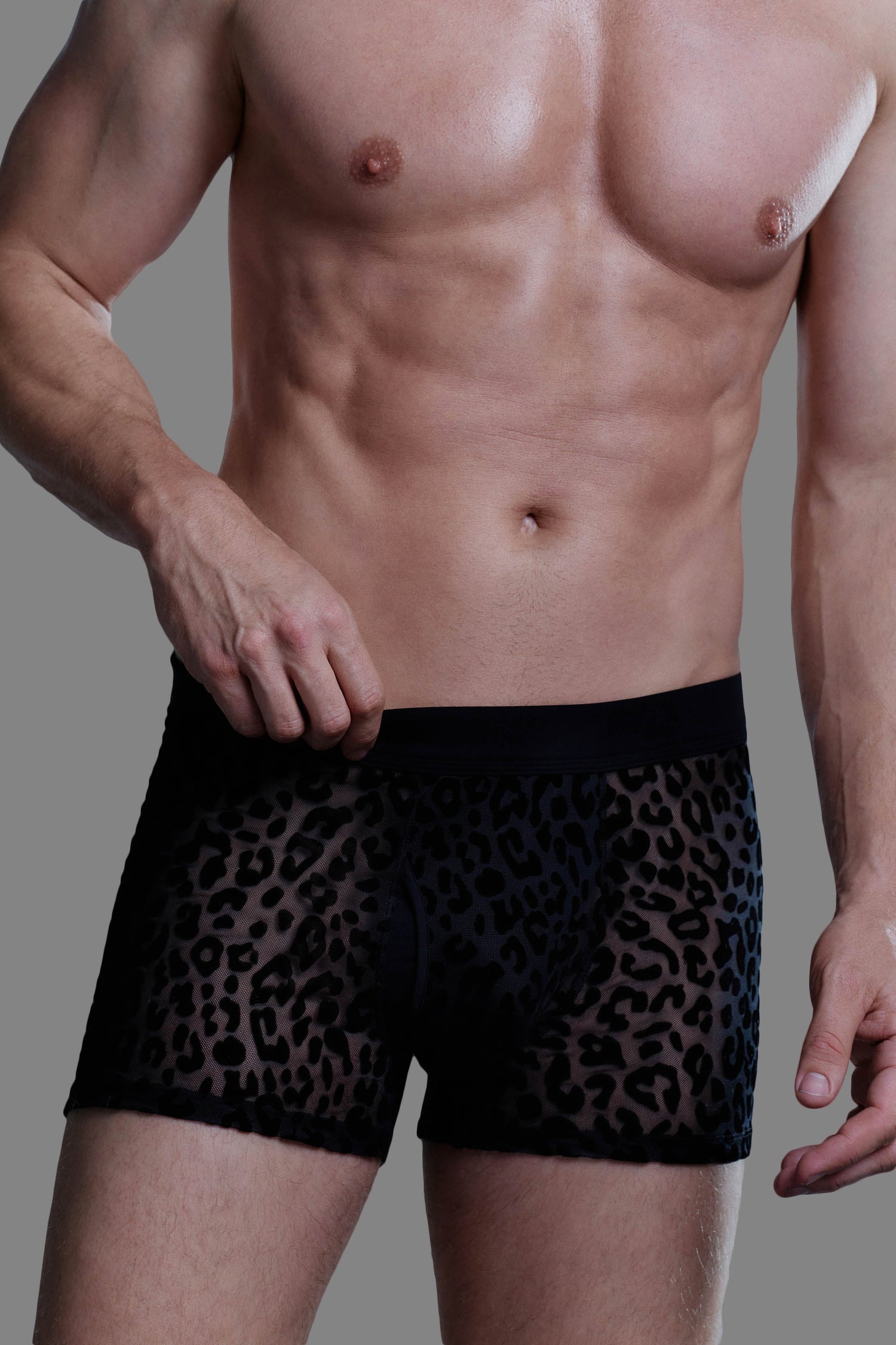 Herren luipaard boxer - 24 Secret Days
