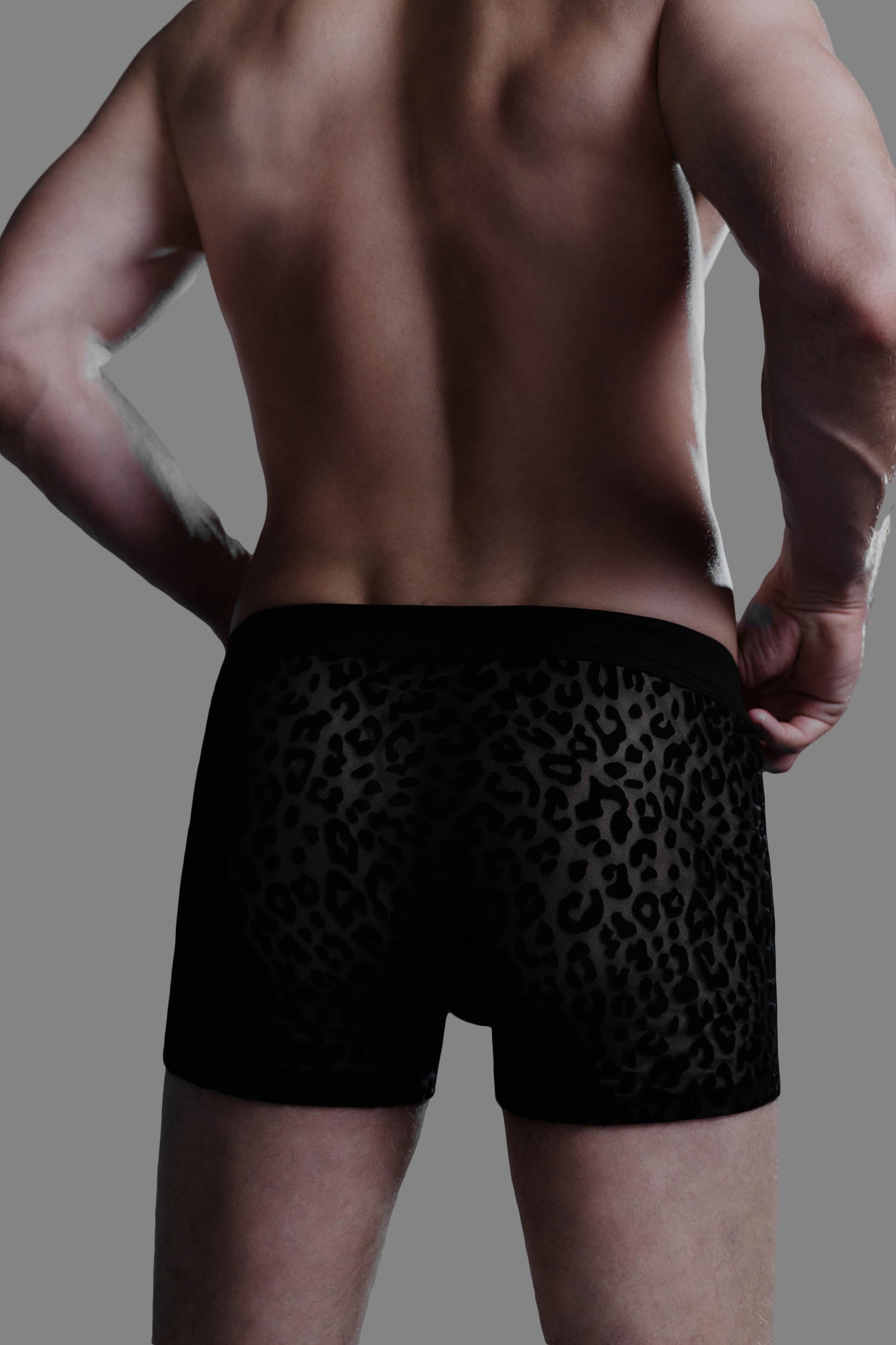 Herren luipaard boxer - 24 Secret Days