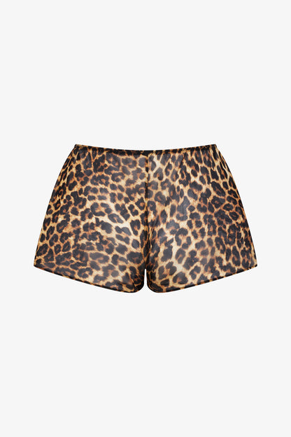 Shorts - Safari