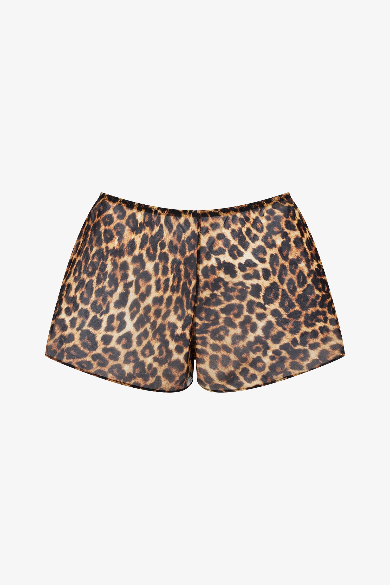 Shorts - Safari
