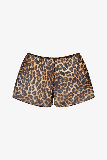 Shorts - Safari