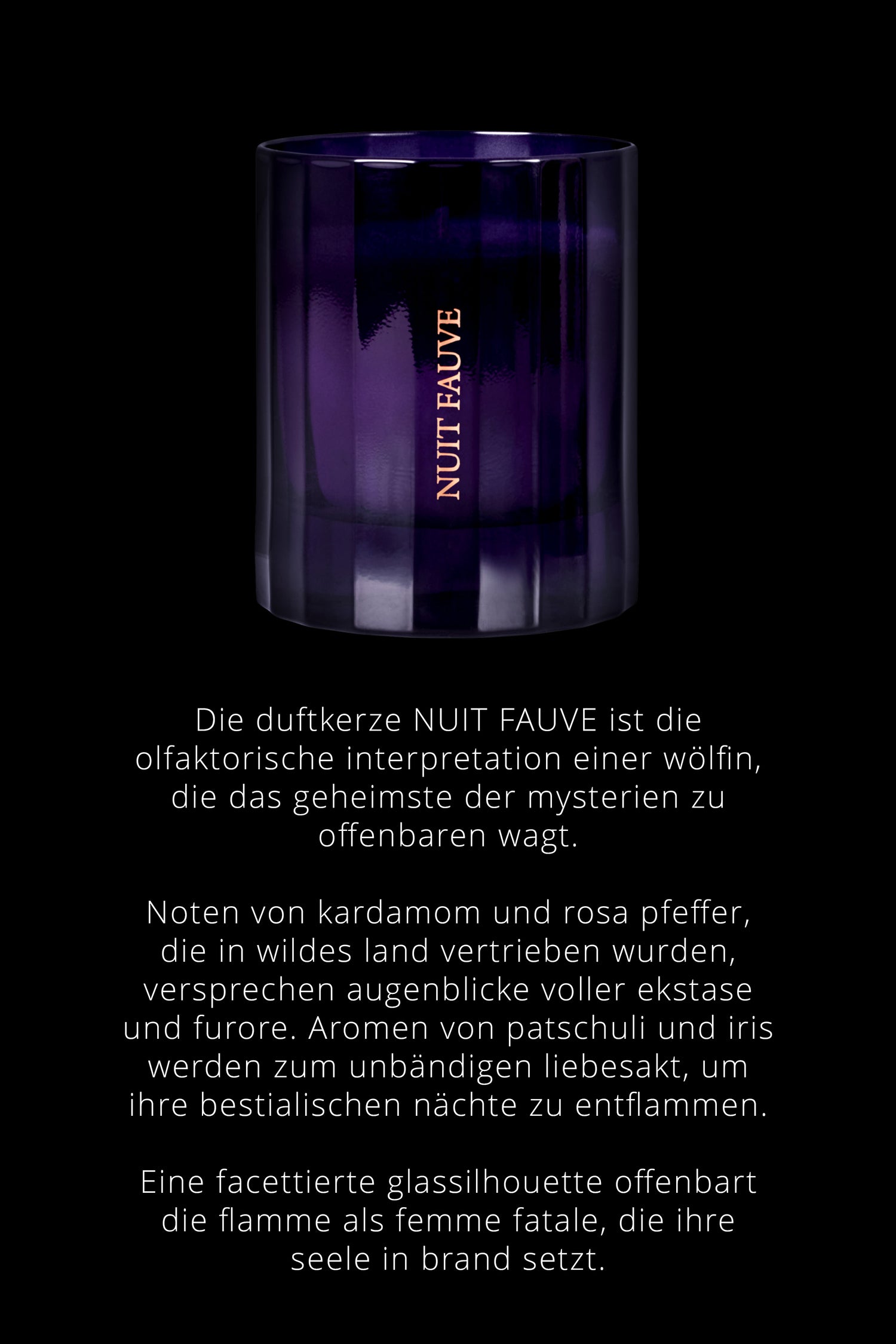 Duftkerze Chypre noten - Nuit Fauve