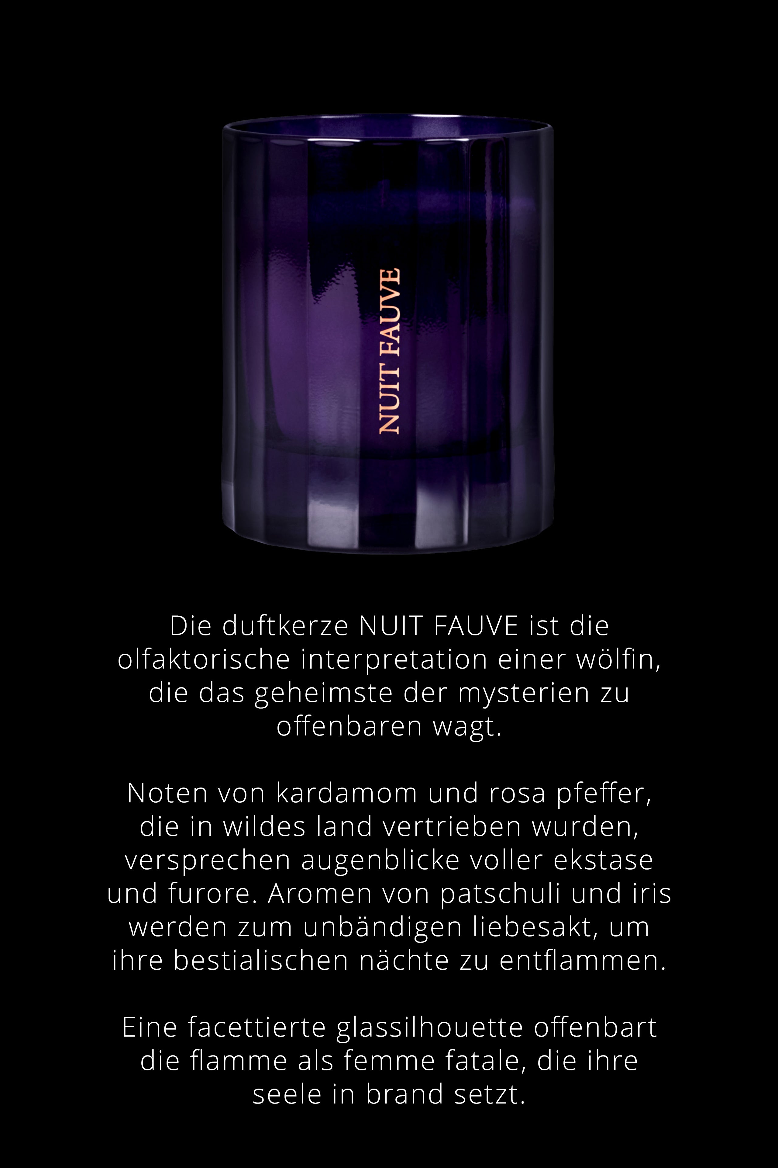 Kerze Chypre noten - Nuit Fauve